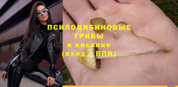 синтетический гашиш Горнозаводск