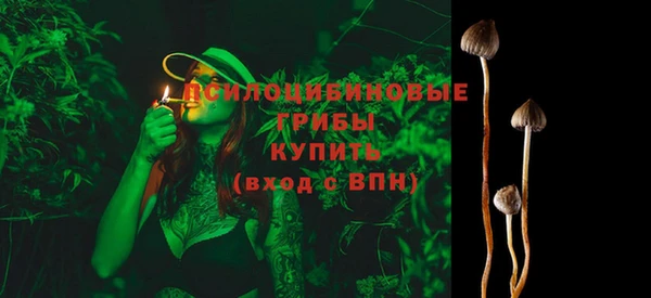 прущий лед Михайлов