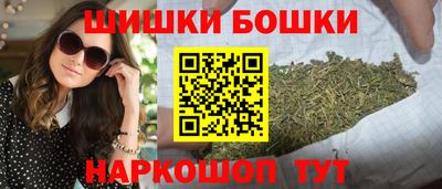 индика Гай