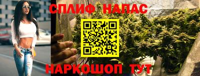 каннабис Будённовск
