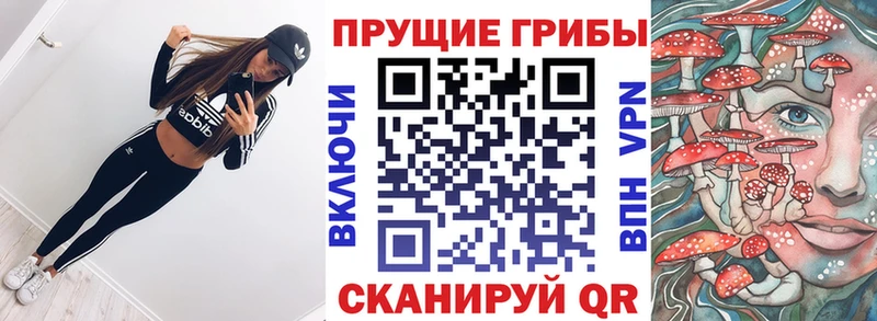 Галлюциногенные грибы Magic Shrooms  закладка  Гусь-Хрустальный 